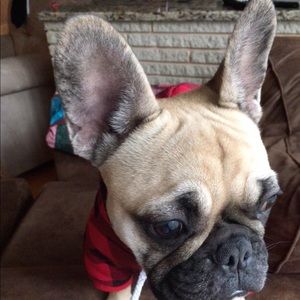 Meet your Posher, Kristen